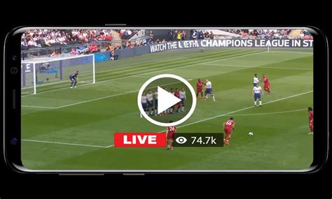 yariga tv|yalla tv live direct football.